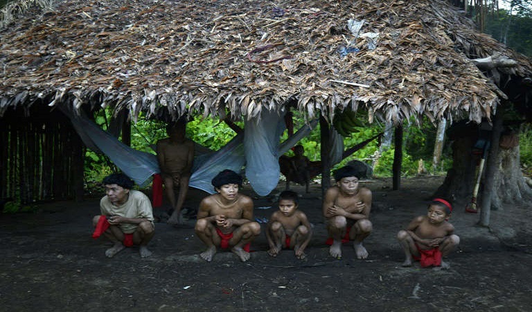 O mercúrio que mata as crianças yanomamis